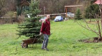 /album/mikroklimaticky-zahon-ii-/img-8731-jpg/